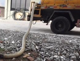 保定市通下水道多少钱